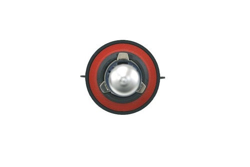 Hella H71071052  BULBS