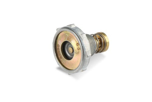 Fast Kit Carburetor Rebuild Kit