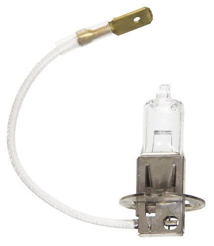 Wagner Lighting BP1255/H3 Standard Series BULBS & FLASHERS