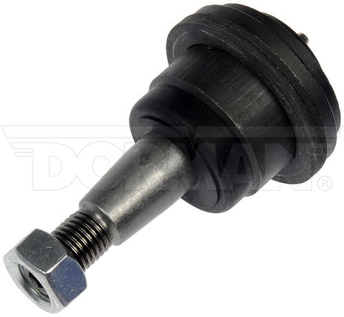 Dorman Chassis BJ81166PR Premium  BALL JOINT