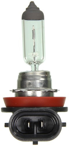 Wagner Lighting BP1255/H11 Standard Series BULBS & FLASHERS