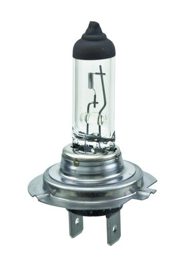 Hella H7  BULBS