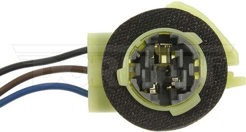 Dorman (OE Solutions) 85882 Conduct-Tite BULBS & FLASHERS