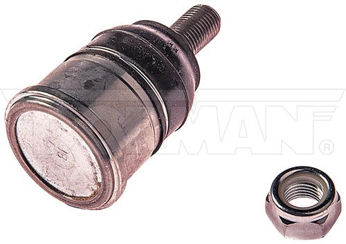 Dorman Chassis BJ59375PR Premium  BALL JOINT