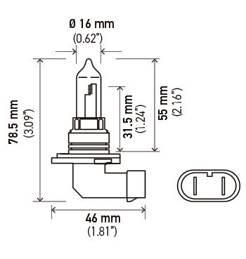 Hella 9005 100W  BULBS