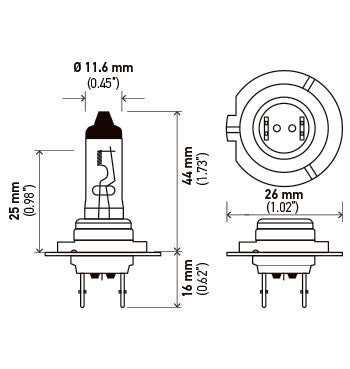Hella H7  BULBS