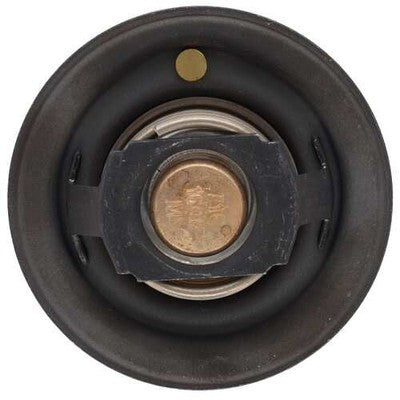 MotoRad/ CST MRD101 Spec-R ENGINE PARTS OEM