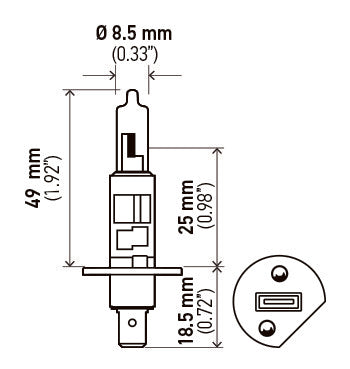 Hella H1 24V  BULBS